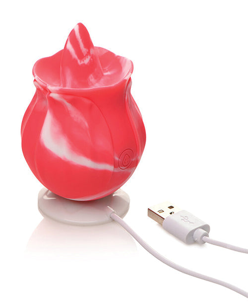Gossip Cum Into Bloom Licking Rose Pink Twirl