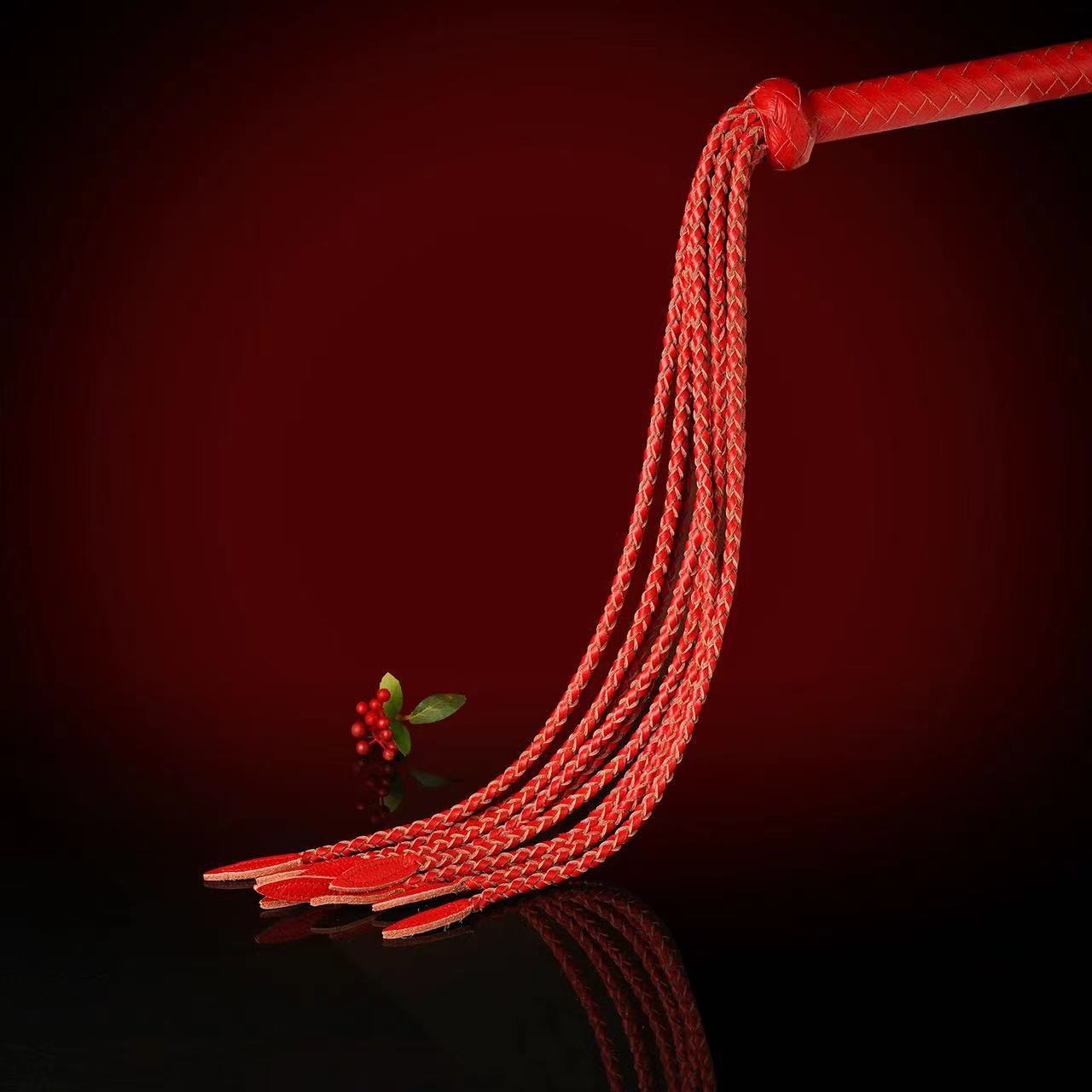 Game Whip Severe Pain Toys Training Punishment Props