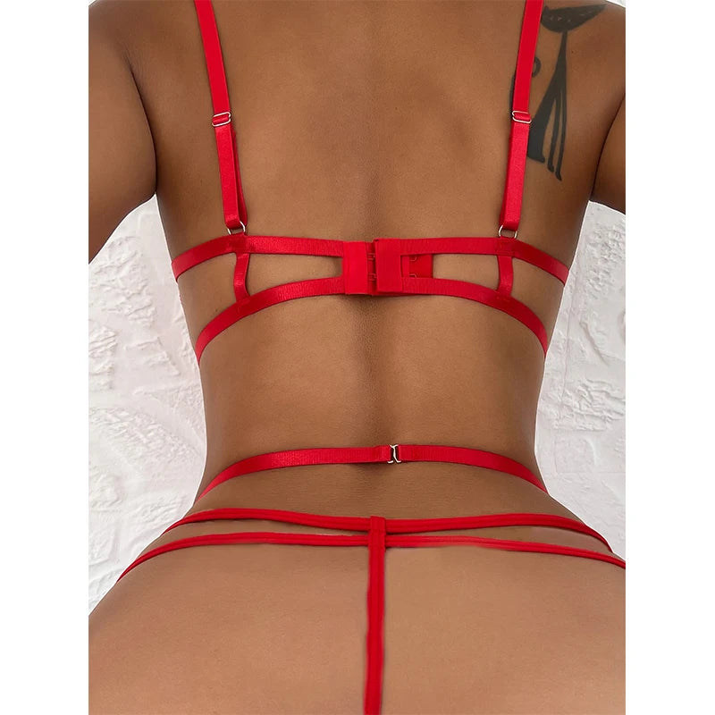 Hot Garter Belt & Lingerie Set With Lace Bra And Thong Desire Women's Intimate Apparel Ultra-Thin Sexy Underwear Fancy Bras Sets